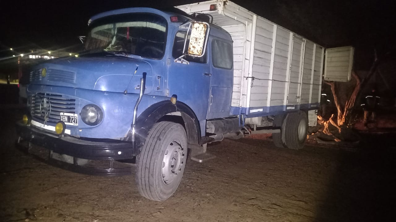 Camionero reincidente transportaba 250 estacones de una especie protegida