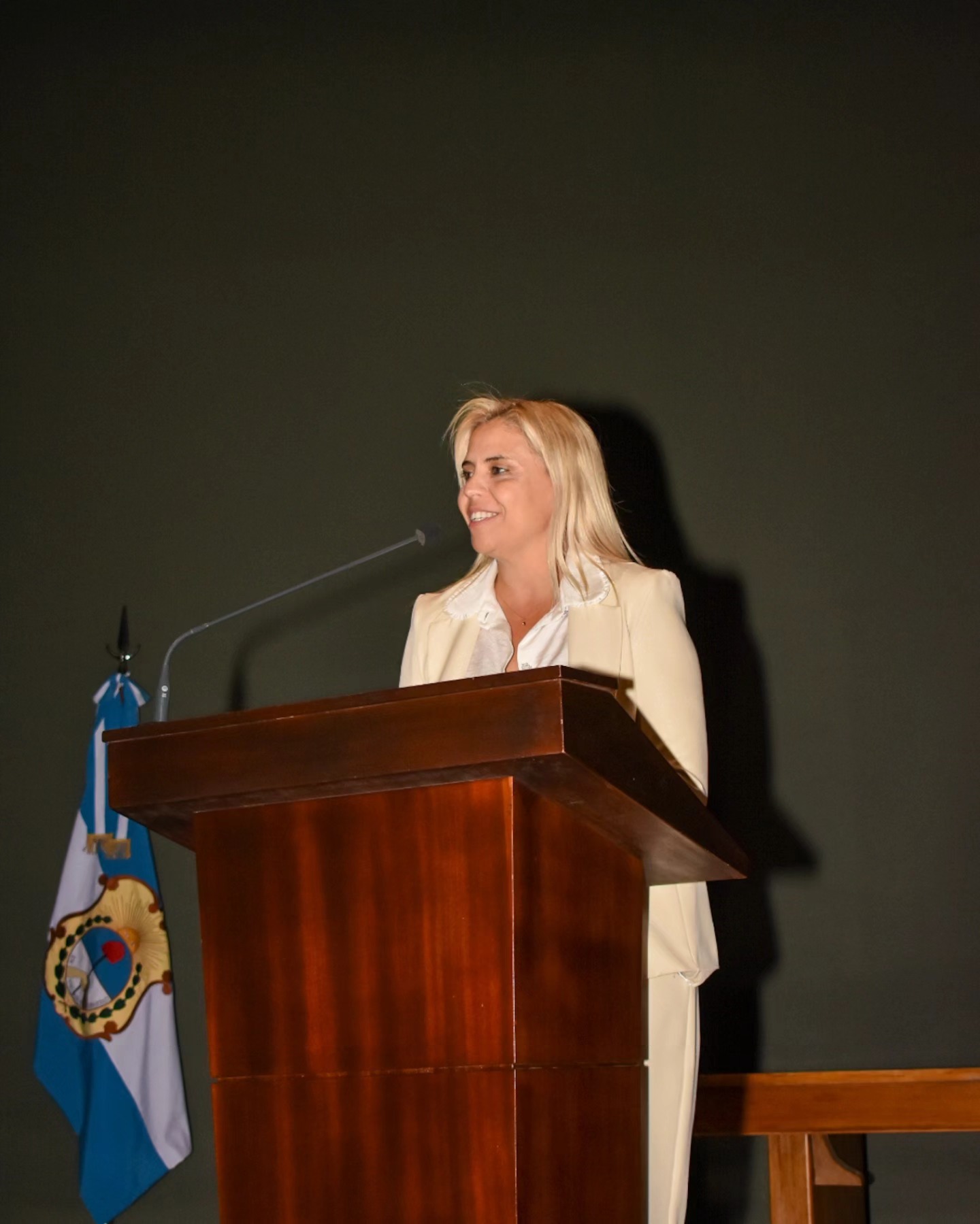 La diputada nacional Nancy Picón en diálogo con Noticias Ya!!!  Nos describió la Ley no aprobada aún de Ficha Limpia
