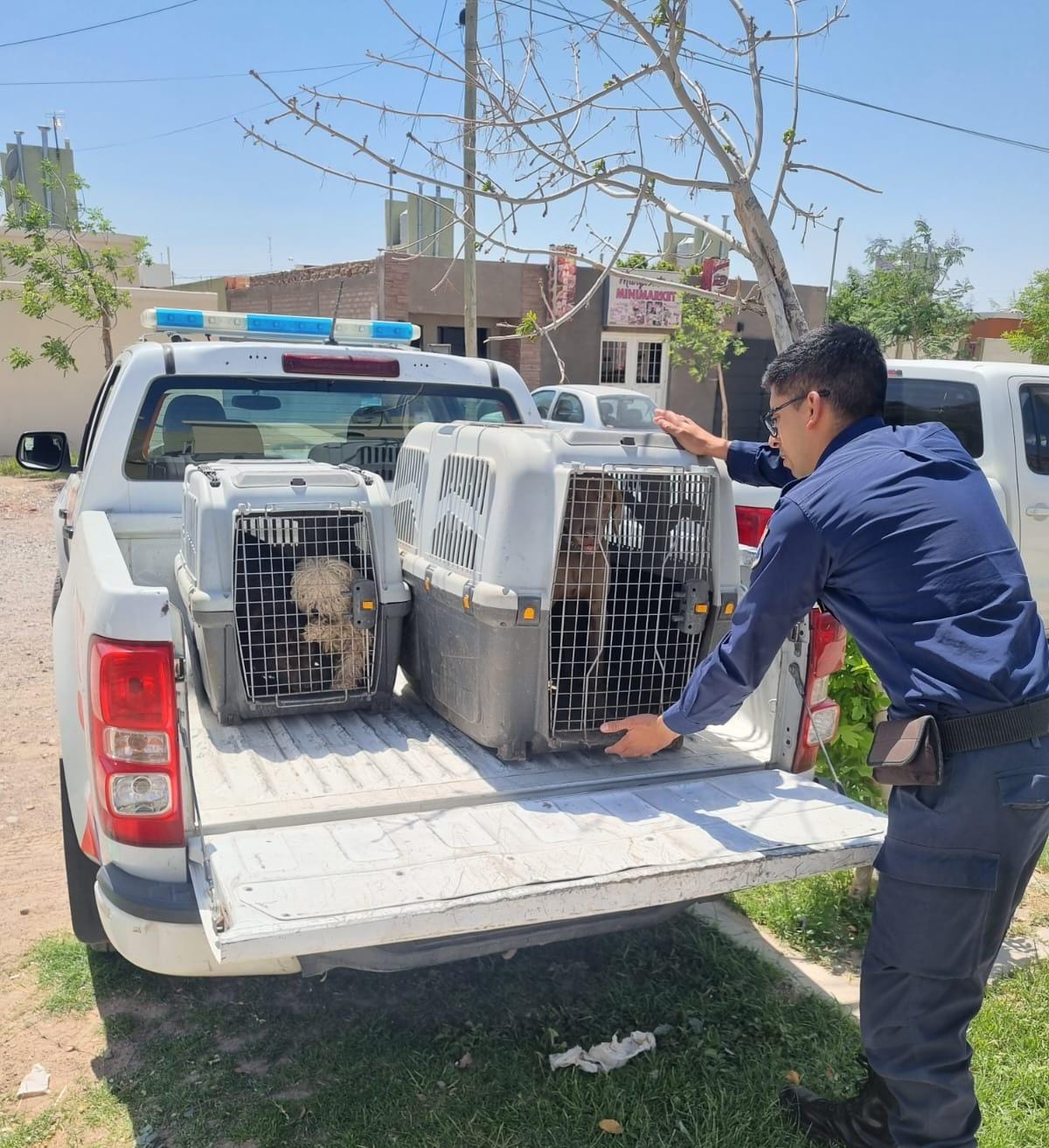 La División Policía Ecológica protege la fauna y el bienestar animal