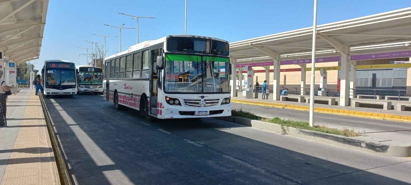 Este año habrá servicio de colectivos en Navidad