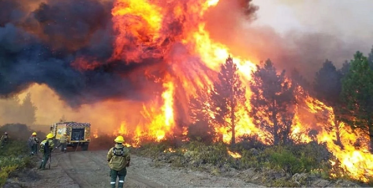 Incendios en la Patagonia: ¿Cómo ayudar?