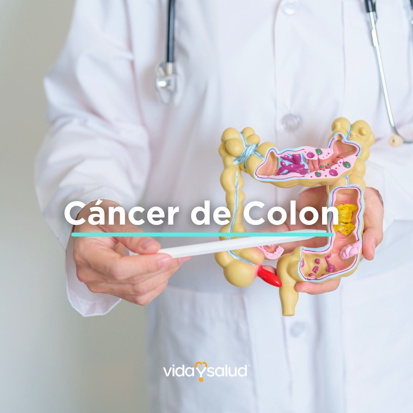 ¿Y si hubiera algo dentro tuyo ocultándose en silencio?