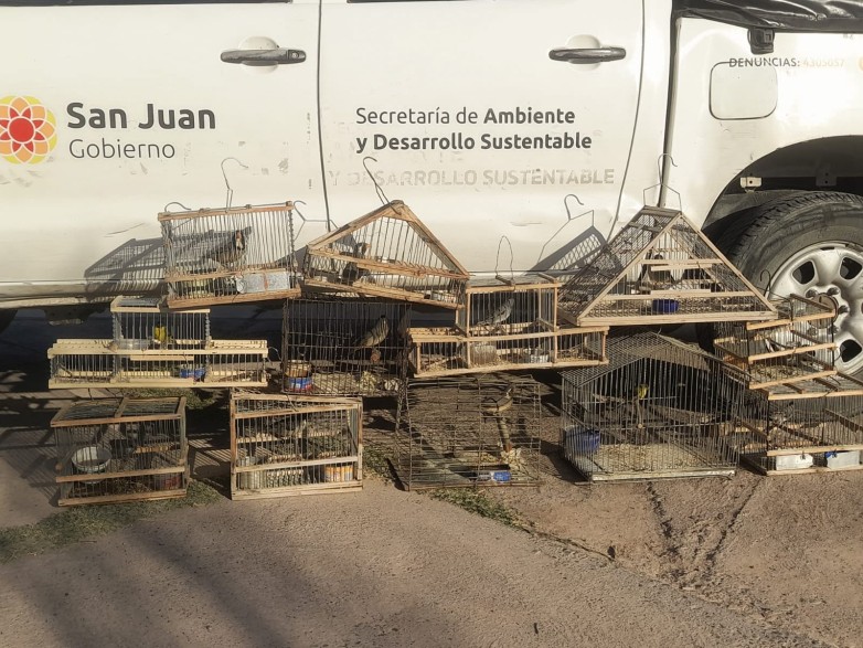 San Juan prohíbe los tramperos con penas de arresto y multas