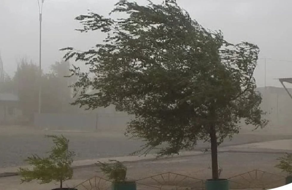 Emitieron un alerta por fuerte viento para la tarde y la noche del domingo