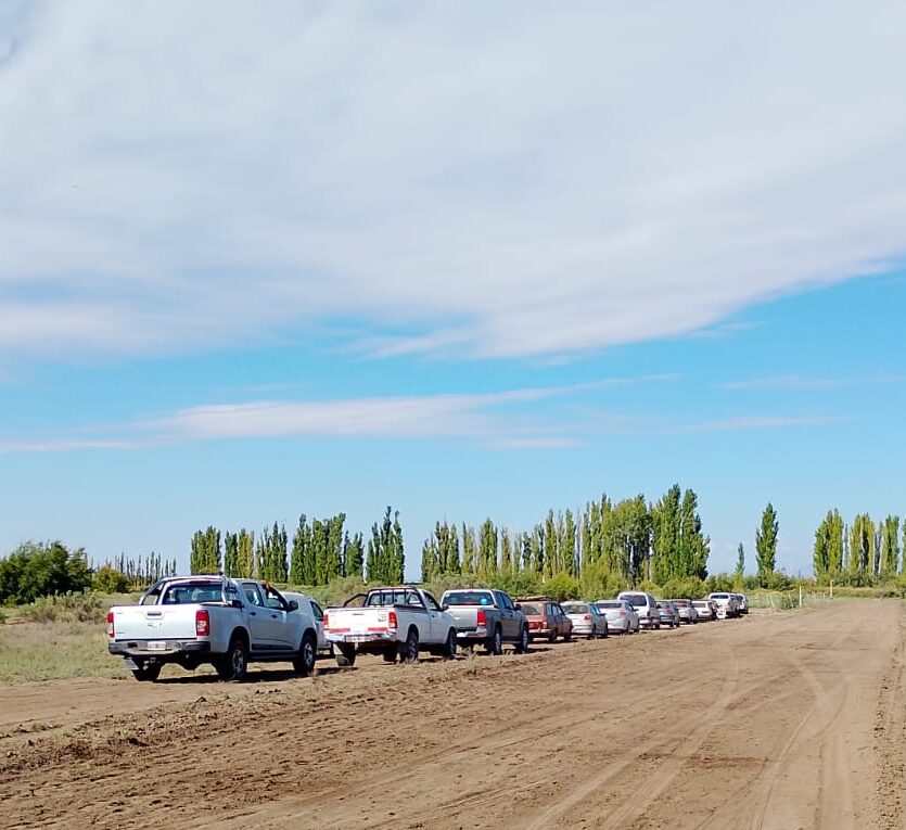 20 Personas organizaron una carrera clandestina de perros Galgos y fueron detenidos en plena apuesta