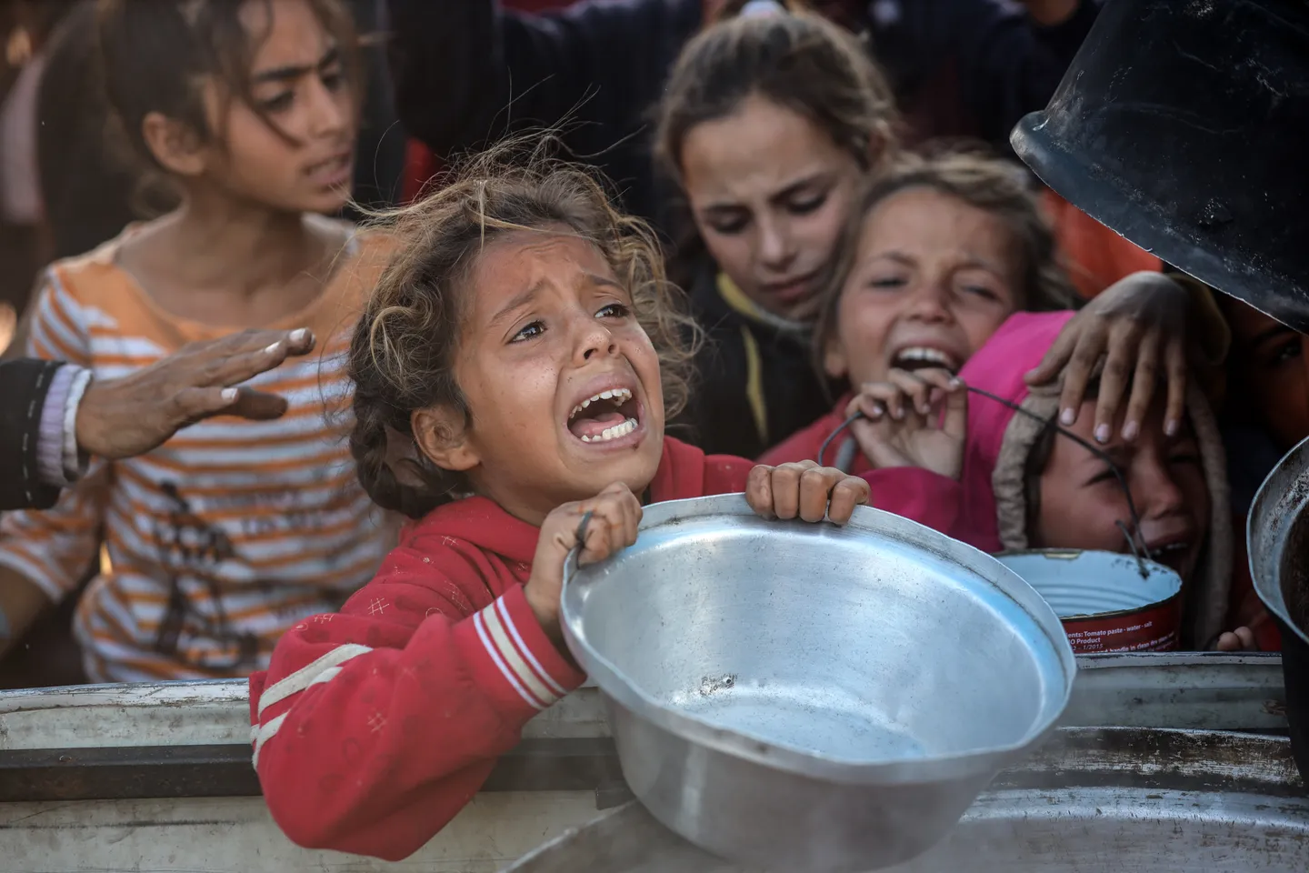 Franja de Gaza: bombas, hambre y desesperación para 2.4 millones de personas