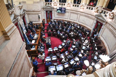 El Senado rechazó la ley de Ficha Limpia