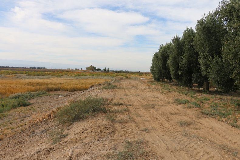 Eco Trekking en Dique Bello: 9 de Julio y Rawson se unen para una jornada deportiva