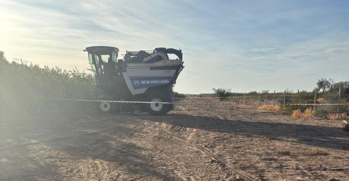 Un operario perdió la vida en un accidente con una cosechadora.