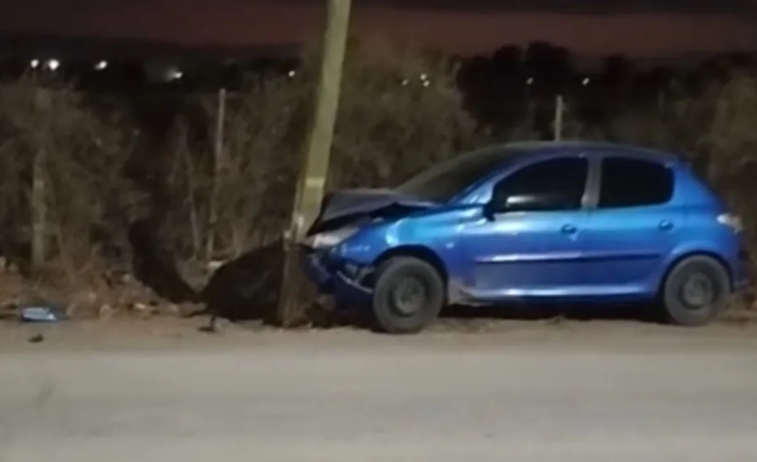 Esquivó a un perro y se incrustó contra un poste de luz