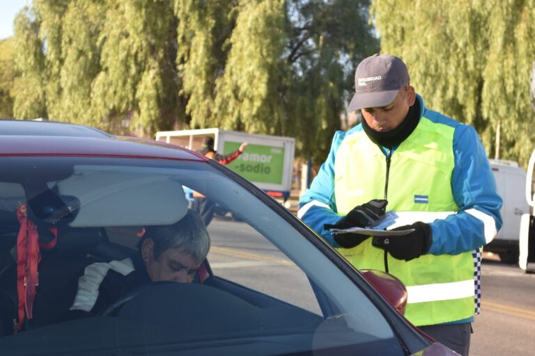 seguridad vial