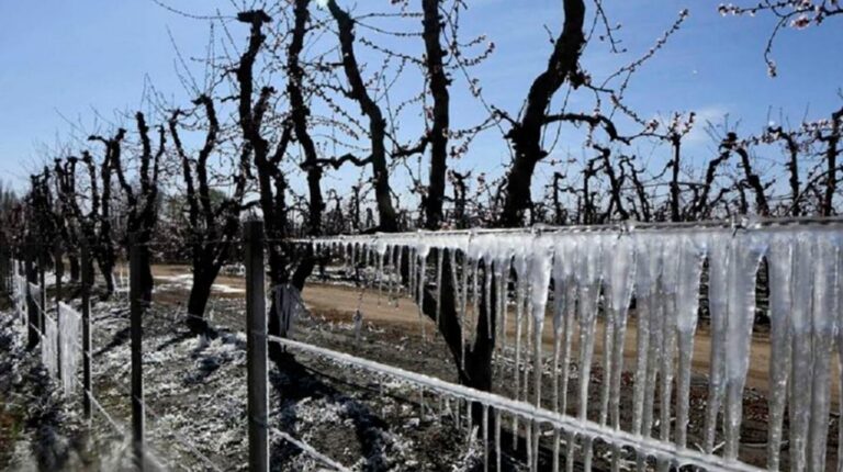 hasta-el-proximo-miercoles-22-de-febrero-habra-un-descenso-termico-muy-fuerte-en-algunas-regiones-con-riesgo-de-heladas-foto-gobierno-de-la-provincia-de-mendoza-22D7JN4LPFBSHPV7FBJBRMMFTM