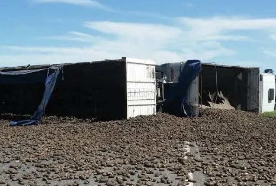 Accidente en El Encón: un camión se dio vuelta y perdió toda la carga