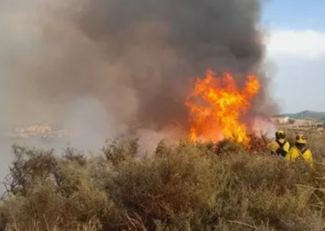 80 hectáreas afectadas por un incendio y casi arrasa con viviendas