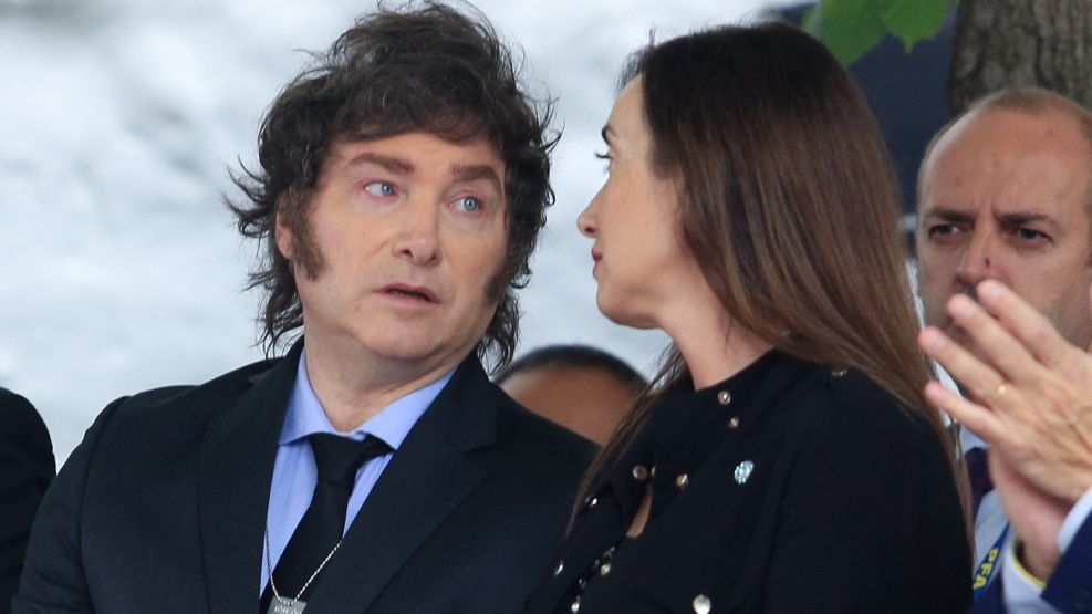 “Un jubilado no puede esperar y una discapacitada, menos” Victoria Villaroel volvió a demostrarle a Milei que ya no hay piel
