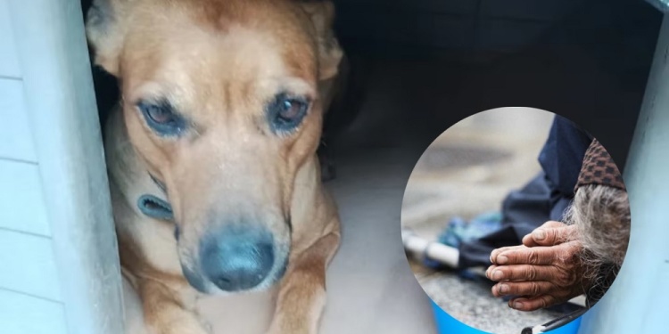 Mendoza: dormía en la calle, no quiso abandonar a su perro y murió por el frío