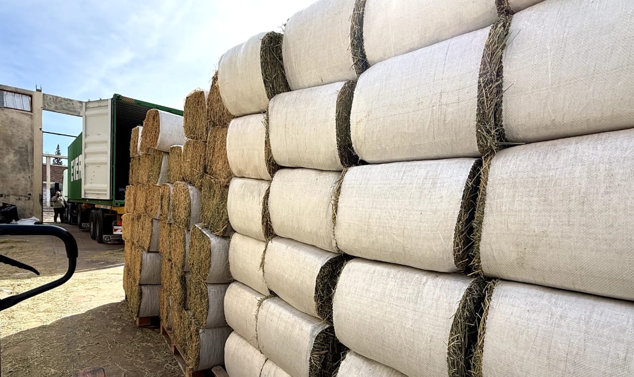 Una empresa nuevejulina exportó fardos de alfalfa a Dubai