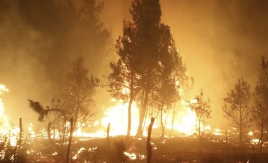Incendio en un parral de Pocito, asustó a los vecinos por riesgo habitacional