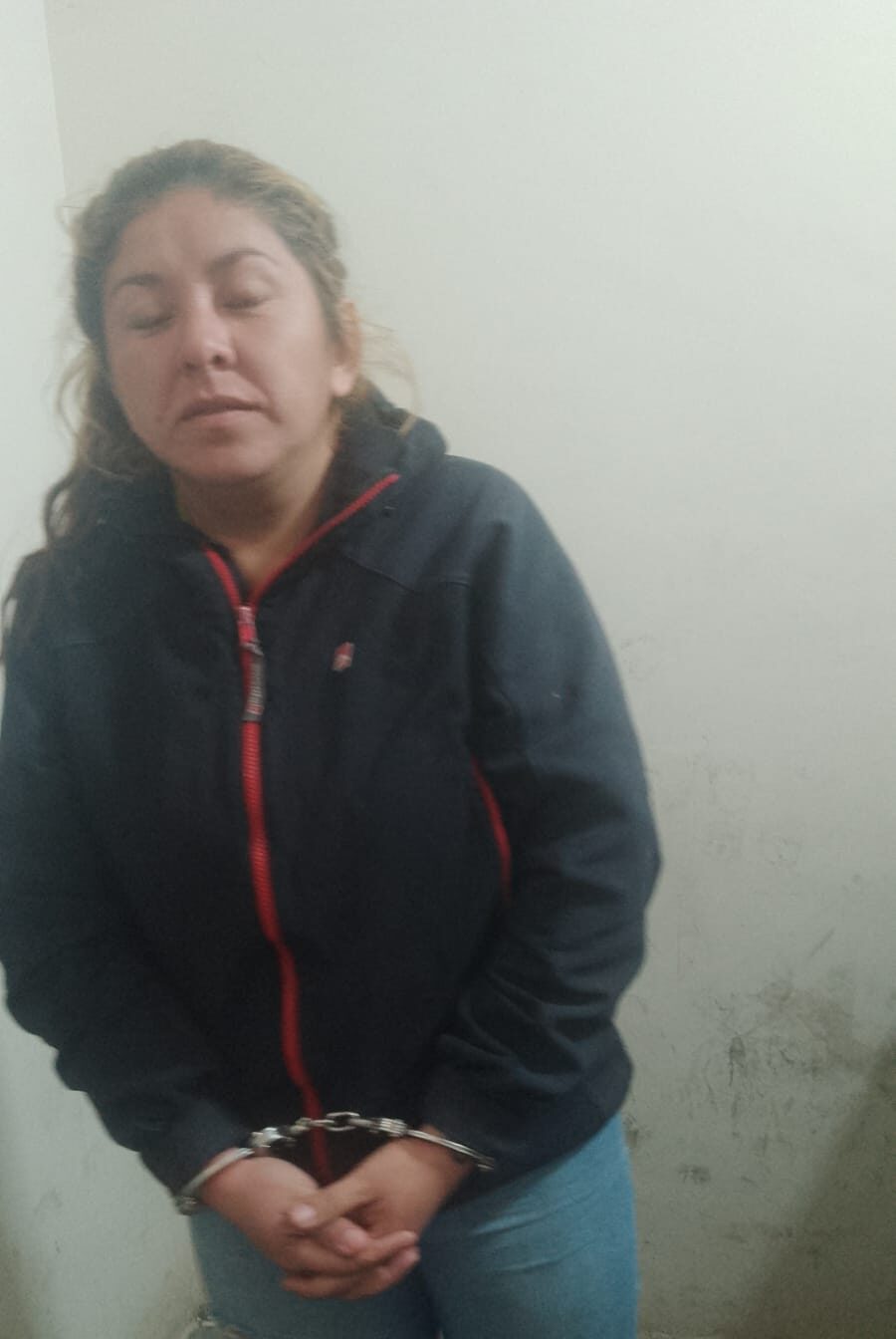Intento robarse un queso y la policía la detuvo