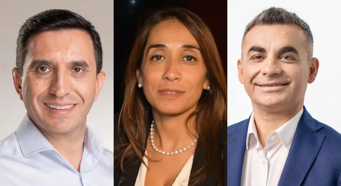Andino, Rosas y Gramajo los candidatos titulares de Fuerza San Juan