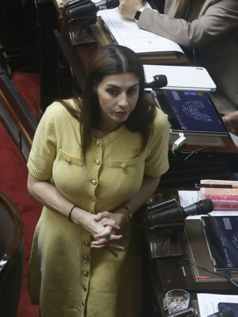 Zago, Pagano, los misioneros y tres bullrichistas se suman al rechazo contra los vetos de Milei