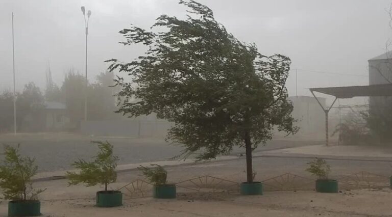 IMG-20250909-WA0015