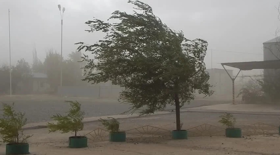 Mirá los departamentos en alerta por fuertes vientos