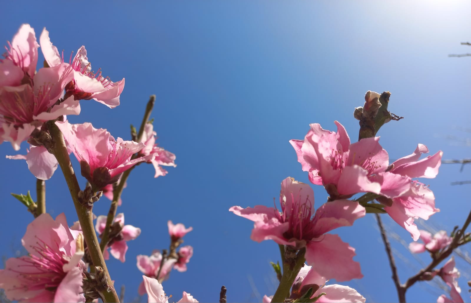 Lunes primaveral