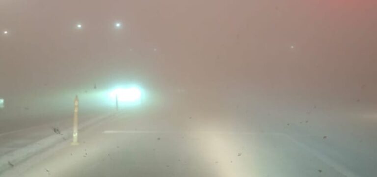 IMG-20250926-WA0046
