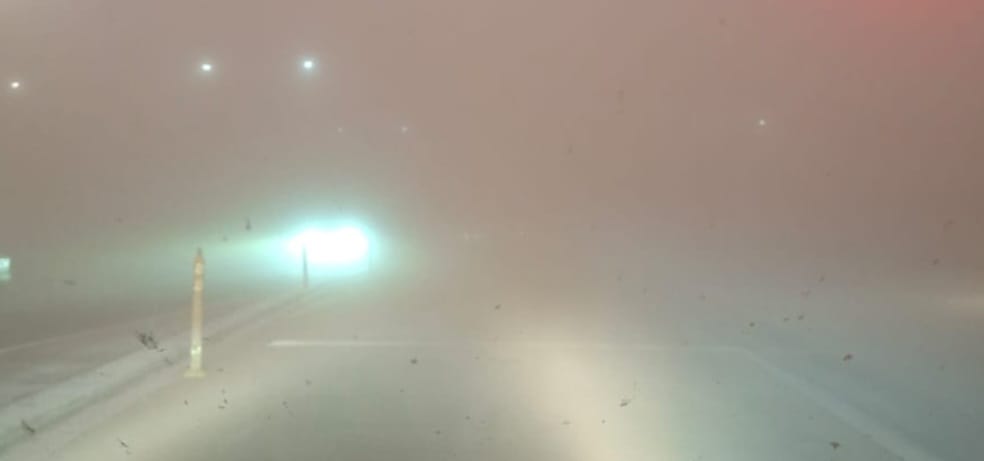 Corte de electricidad y caída de árboles en Ullum debido al fuerte viento