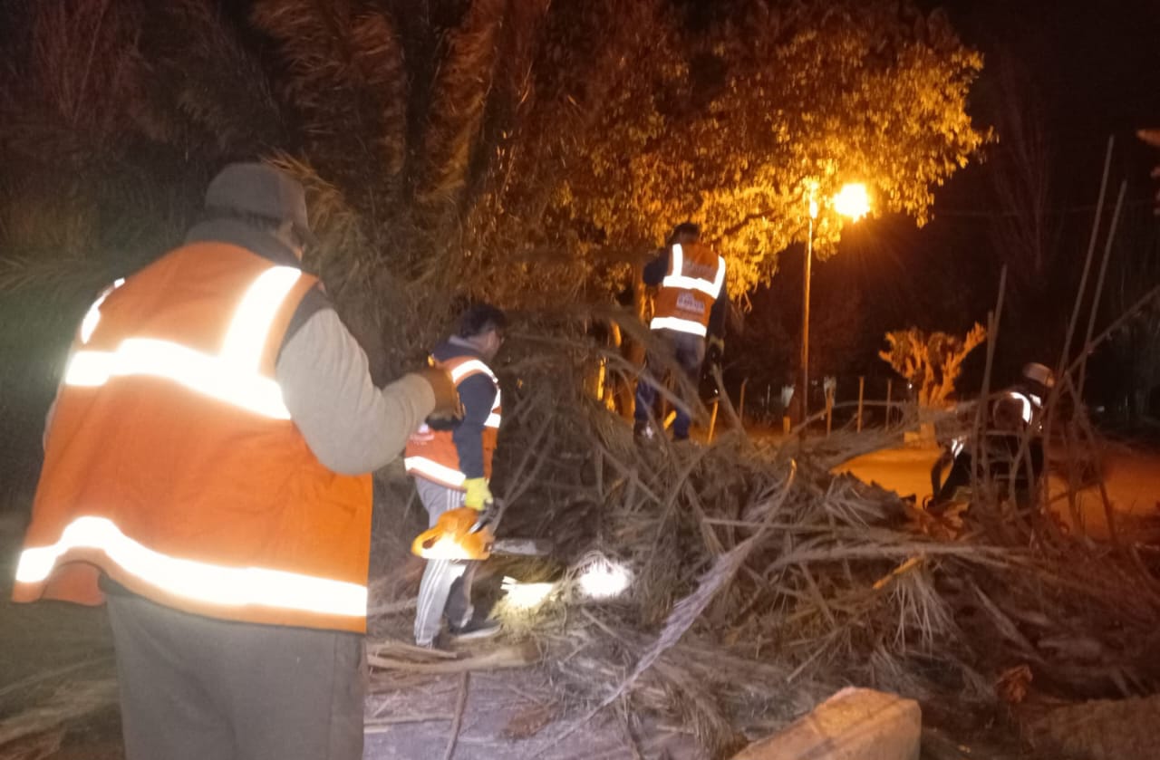 Cuadrillas del equipo de servicios trabajan en diferentes zonas de 9 de Julio debido al fuerte viento