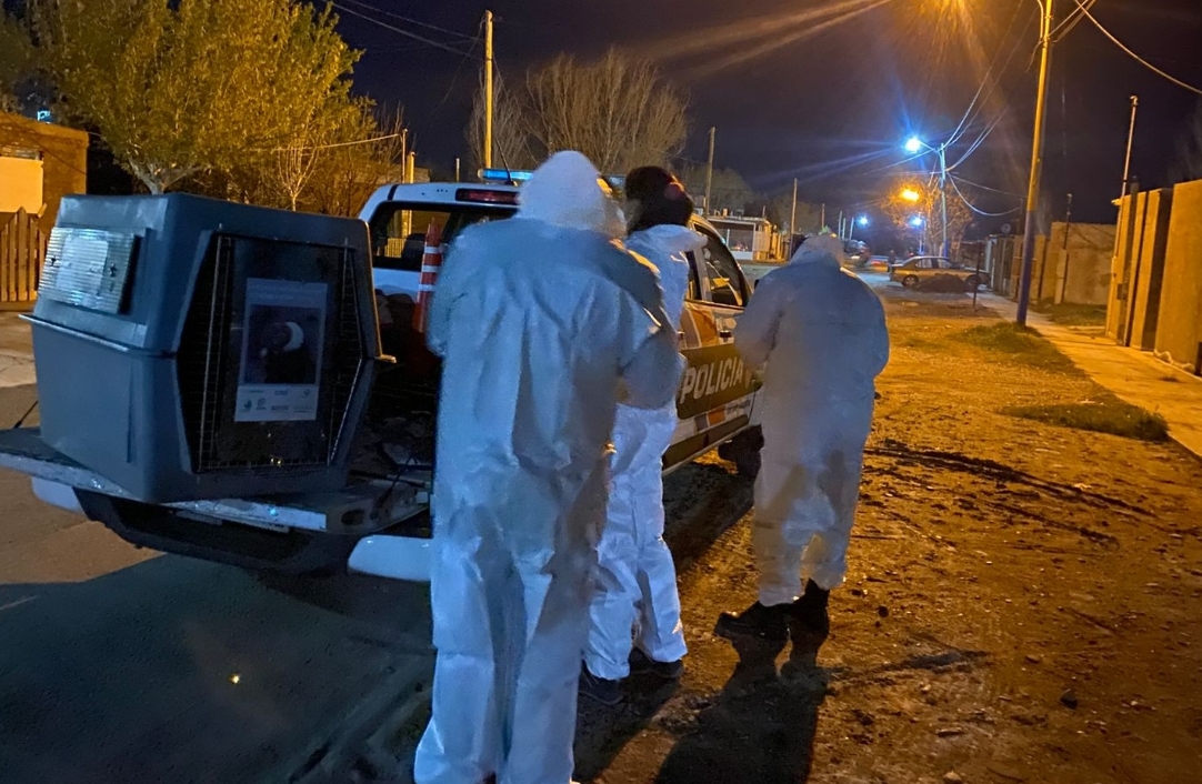 Rescataron un Cóndor en las Chacritas