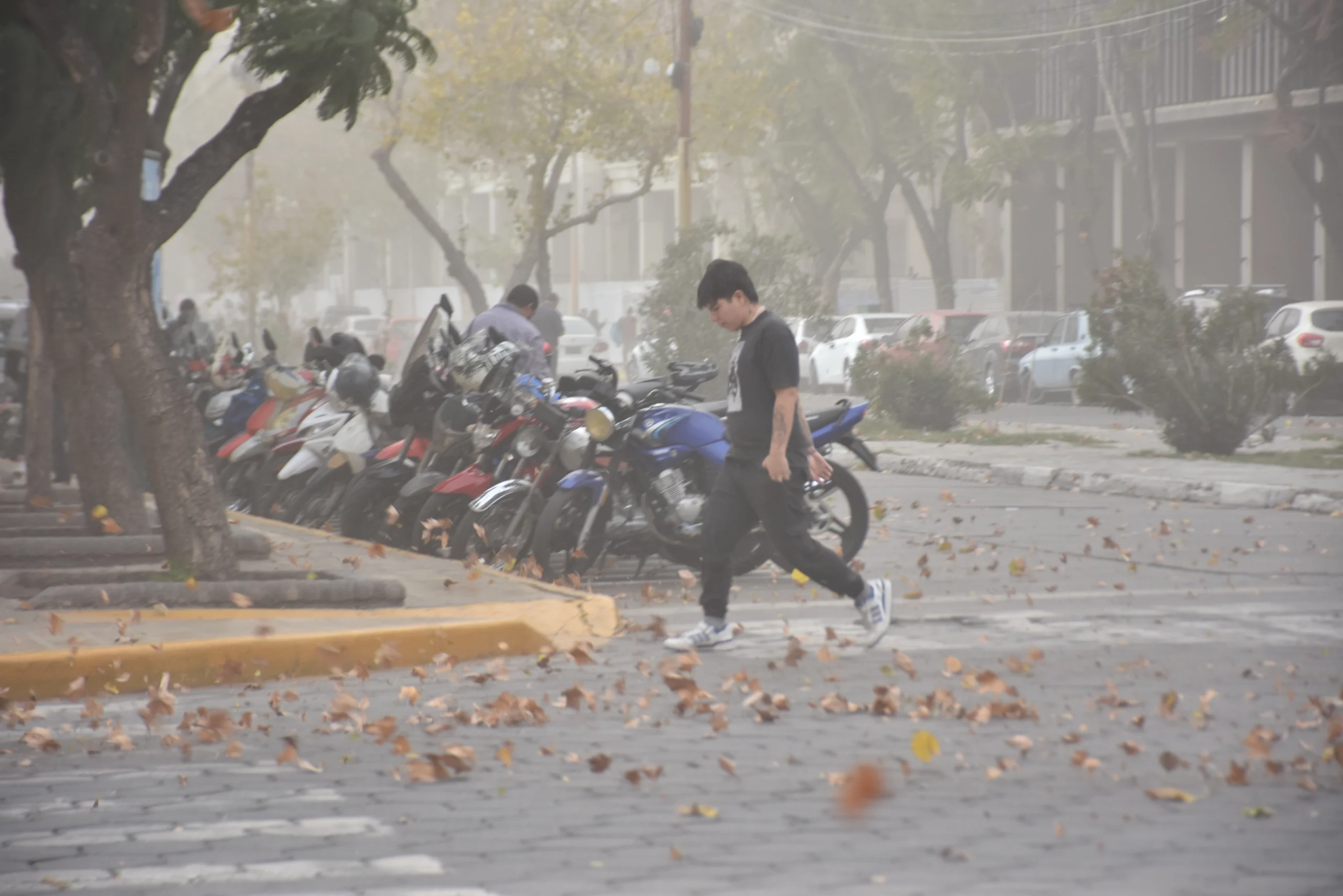 Alerta por viento zonda, que zonas afectará más