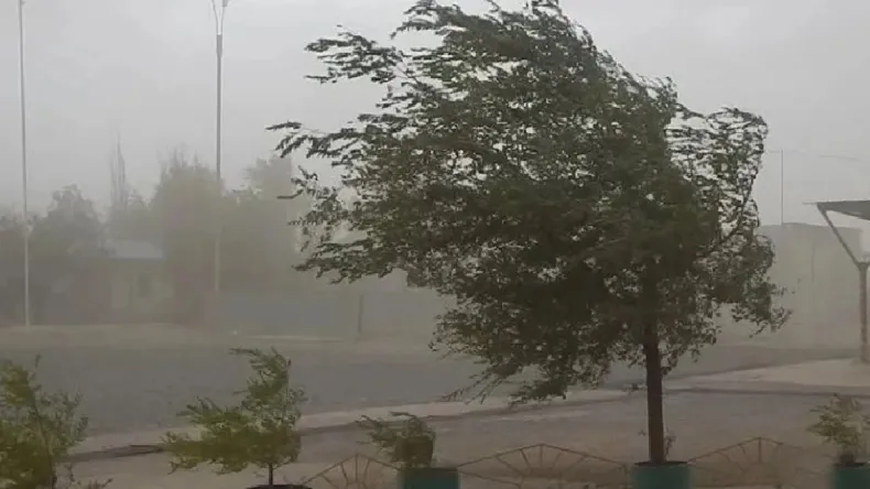 Fuerte viento sur marcará el inicio de la Fiesta Nacional del Sol 2025: tomá precauciones