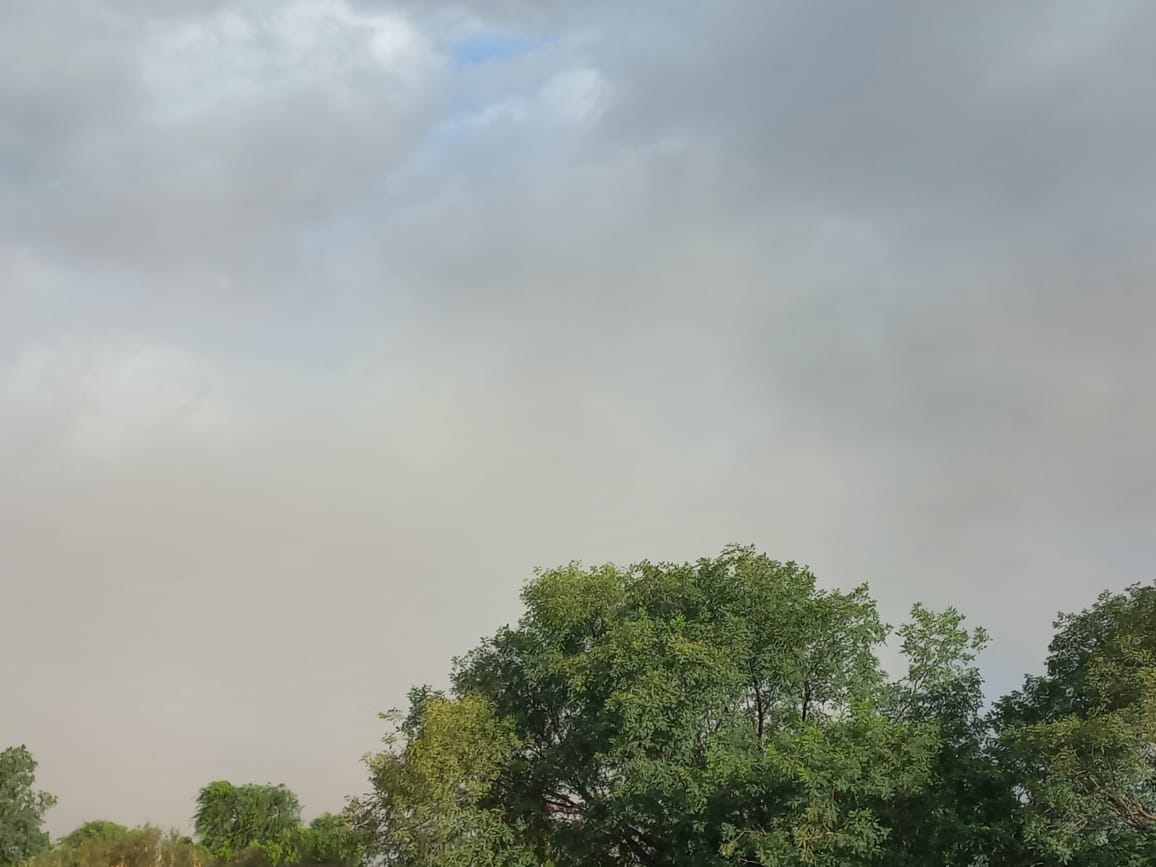 9 de Julio entre los departamentos en alerta por fuertes viento Sur