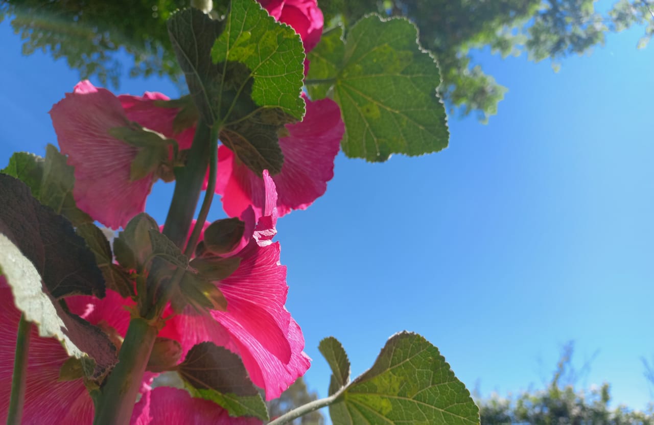 Lunes primaveral