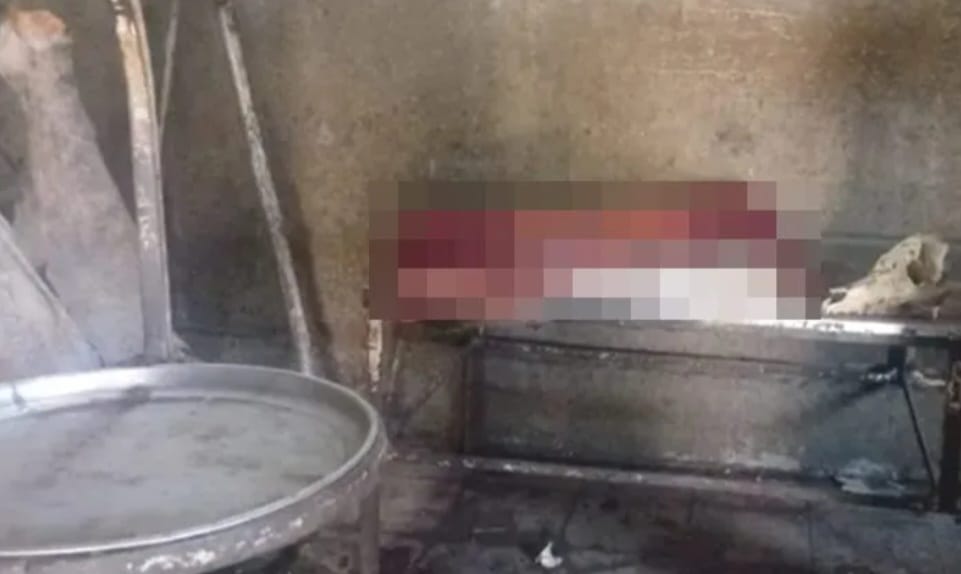 Carnicería clandestina en Rawson: vendían carne de caballo como si fuera de vaca