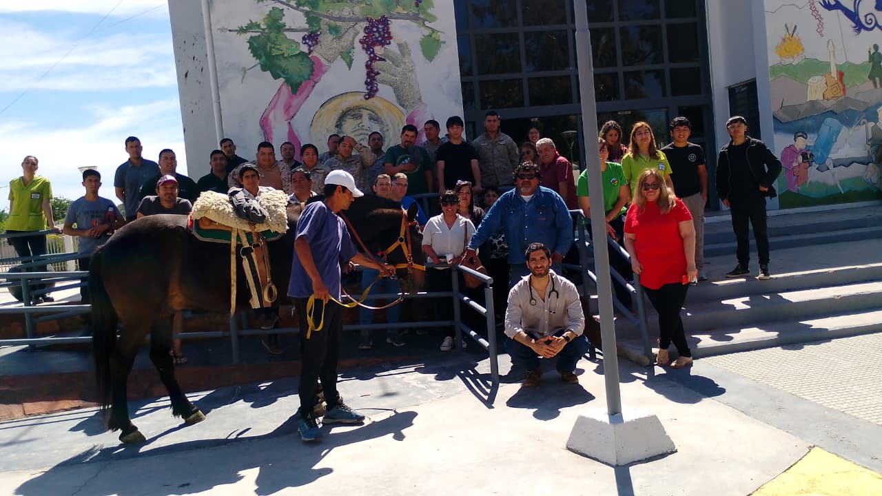San Martín realizó una jornada de capacitación sobre primeros auxilios en equinos