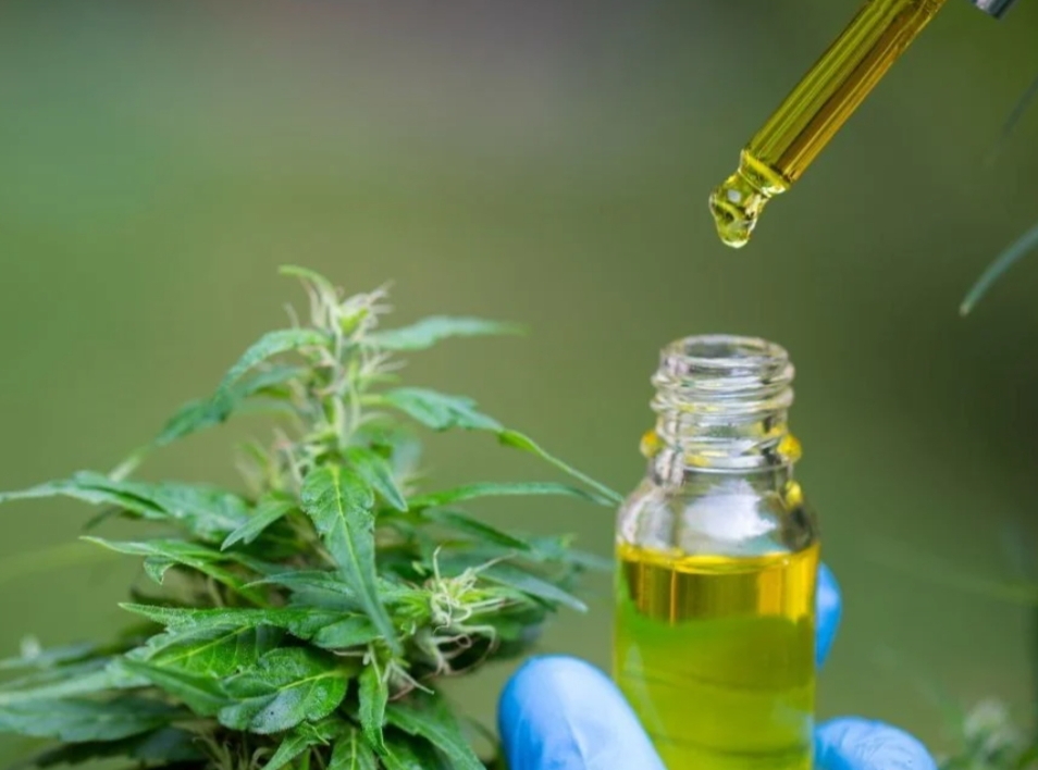 Aceite de cannabis medicinal, San Juan ya autorizó su venta en farmacias