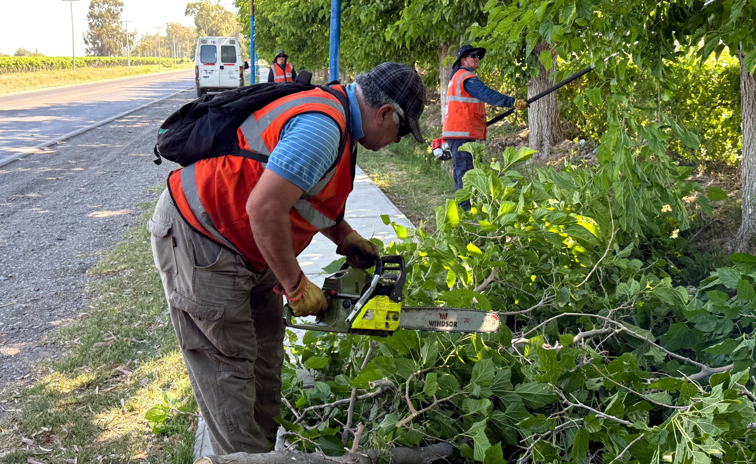 9 de Julio continúa impulsando su plan de limpieza