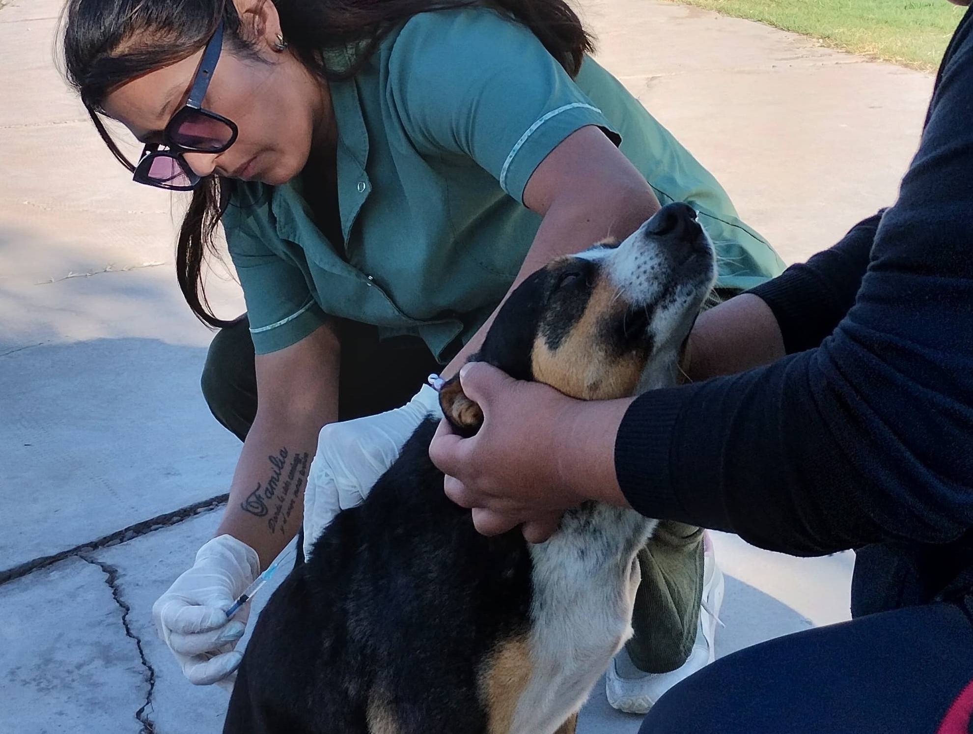 Operativo de vacunación antirrábica en Fiorito