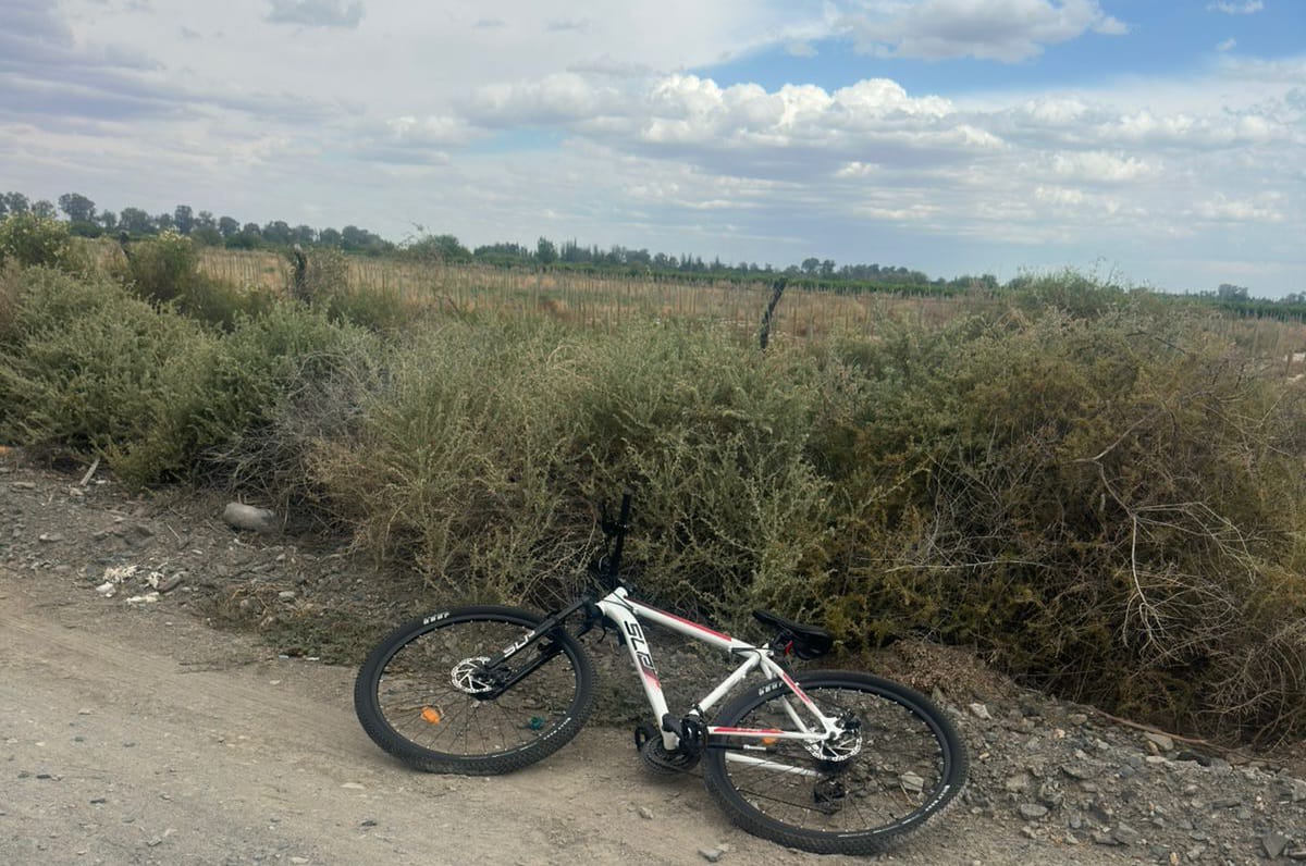 Recuperaron una bicicleta robada luego de una persecución en zona rural de Caucete