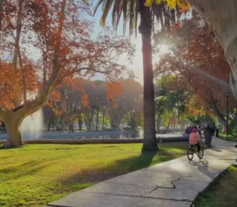 Screenshot_2025-11-12-06-54-50-167_com.google.android