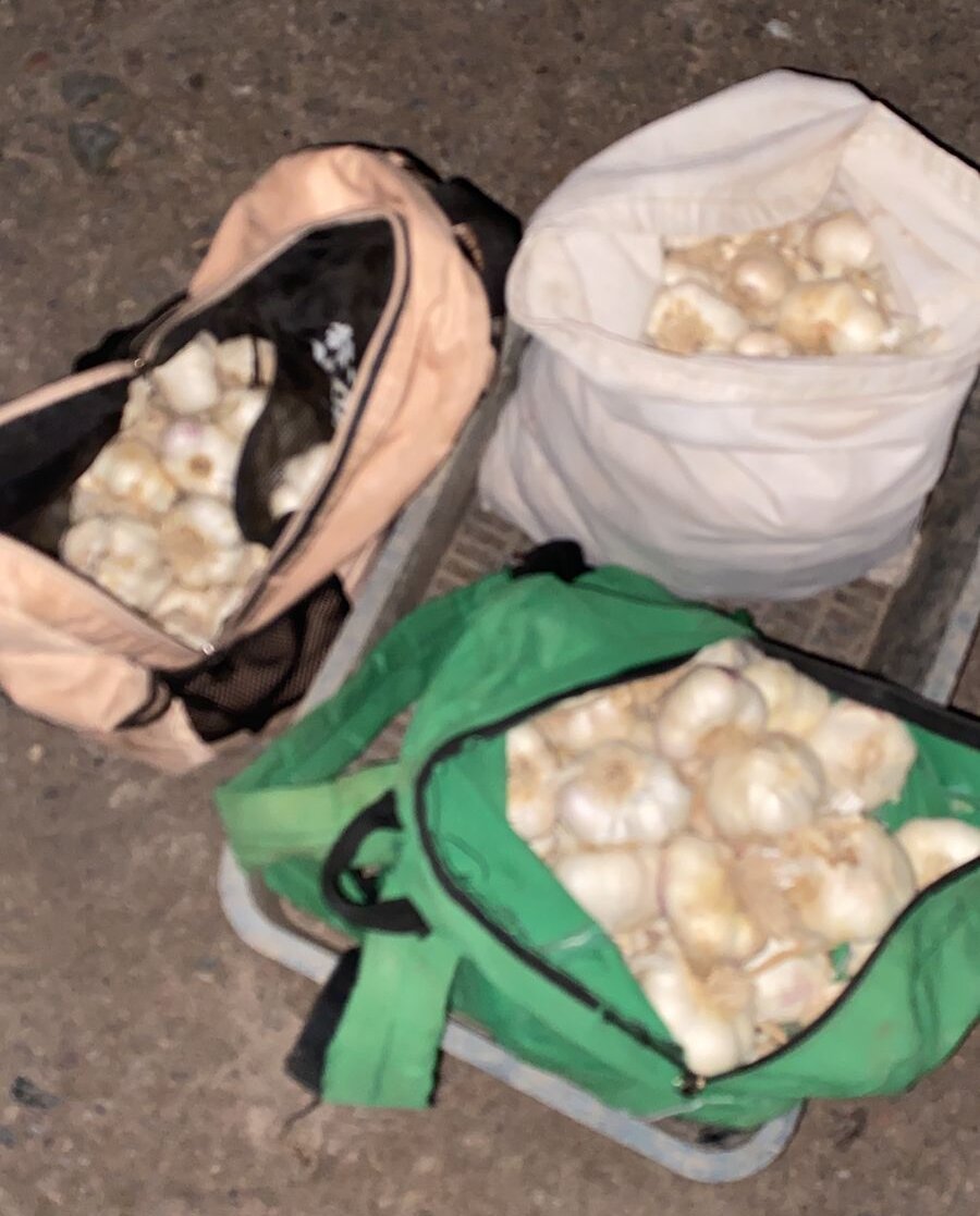 Robo de Ajos en Chacritas