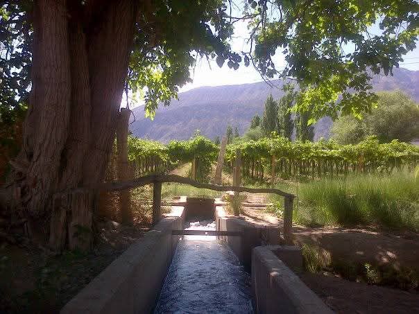 Fin de semana con viento sur permanente en el gran San Juan y lluvias