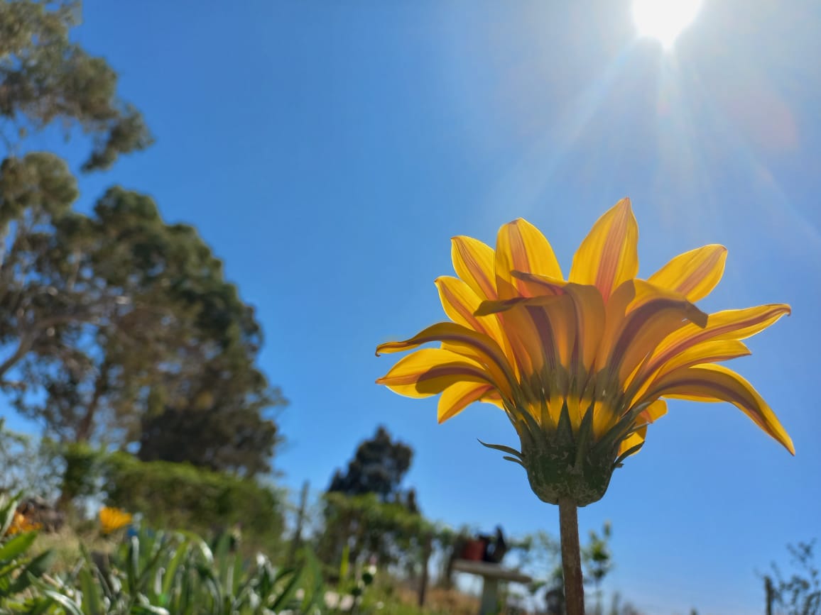 Miércoles con 33°: un día para disfrutar