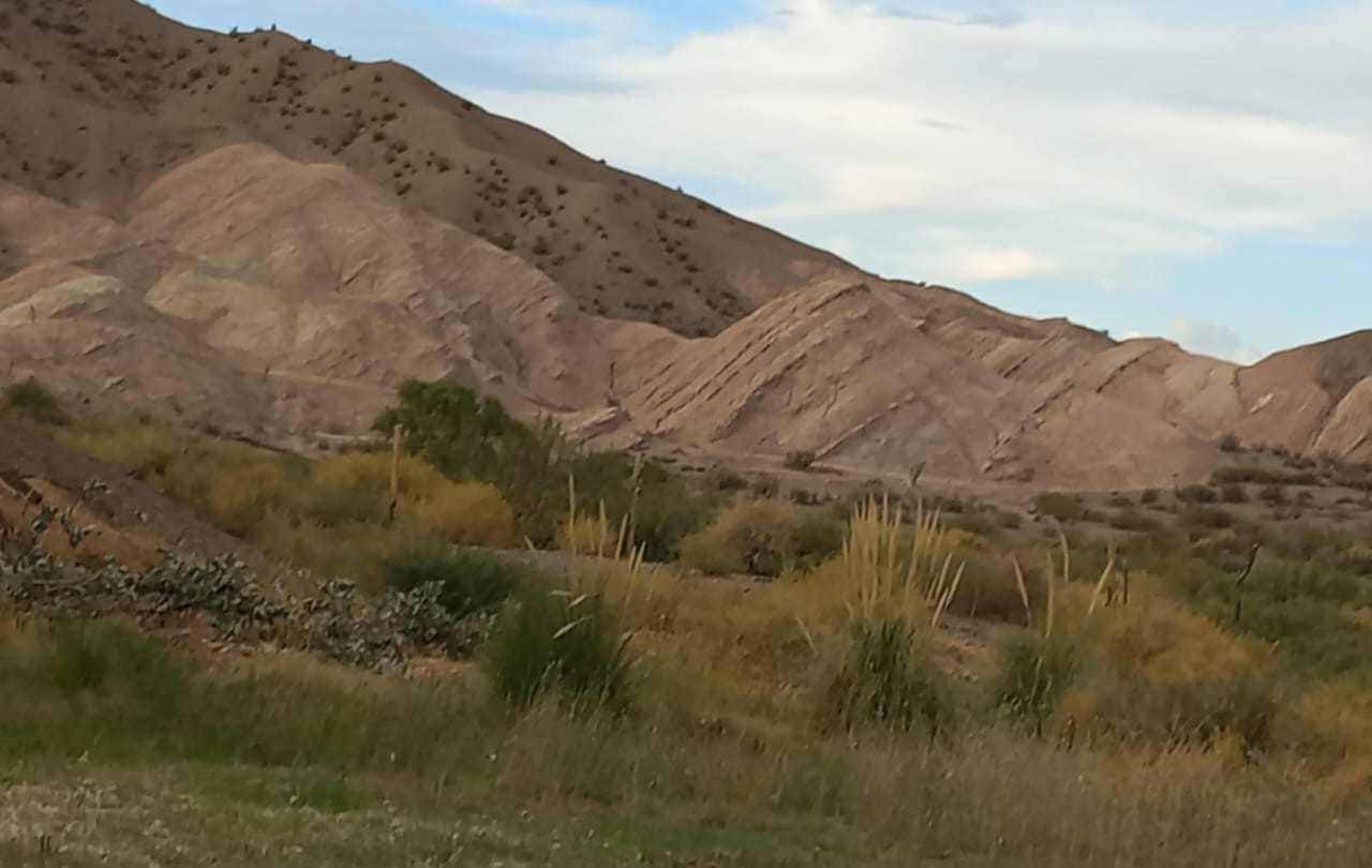 Sube la temperatura: el calor volverá a sentirse