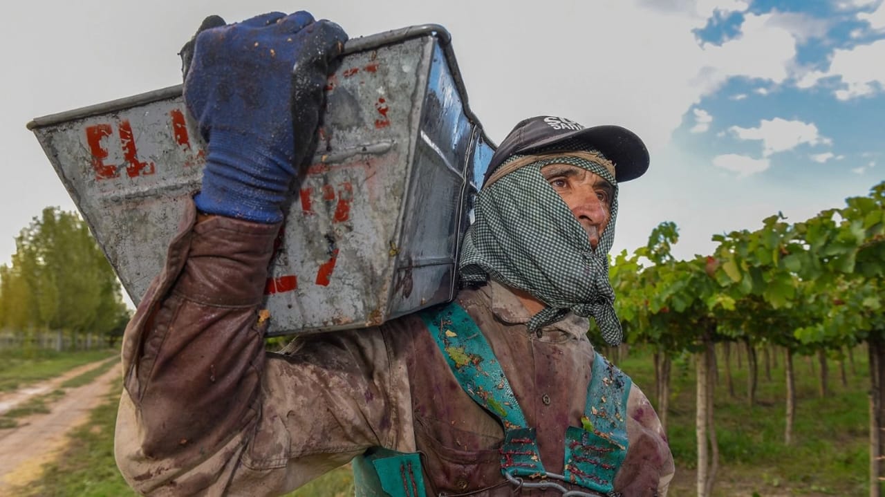 Orrego lanzó un plan de $11.000 millones para financiar la cosecha y elaboración de sectores agroindustriales