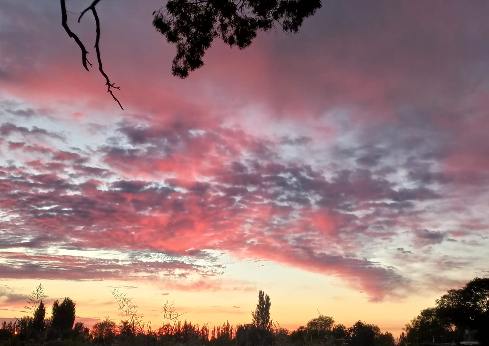 Martes: continúa la probabilidad de tormentas