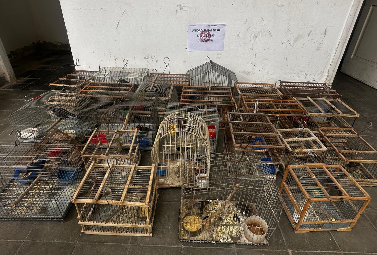 Rescataron aves y detuvieron a tres personas en Albardón y Caucete